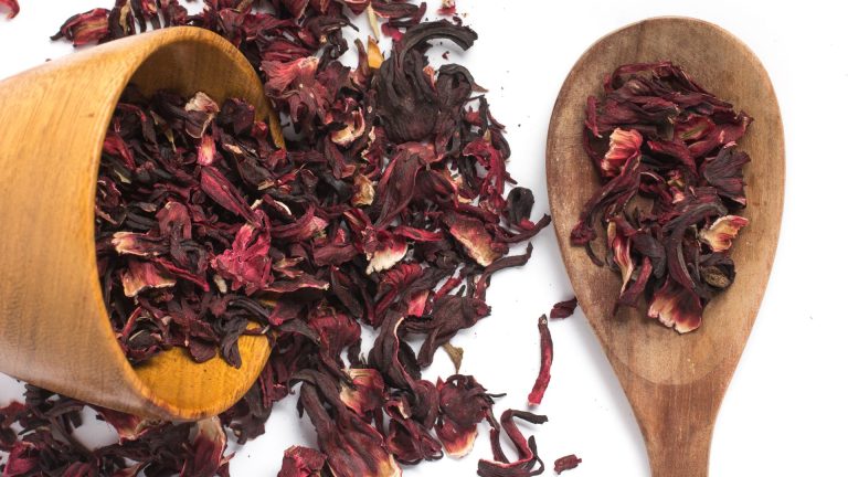 Hibiscus Flowers