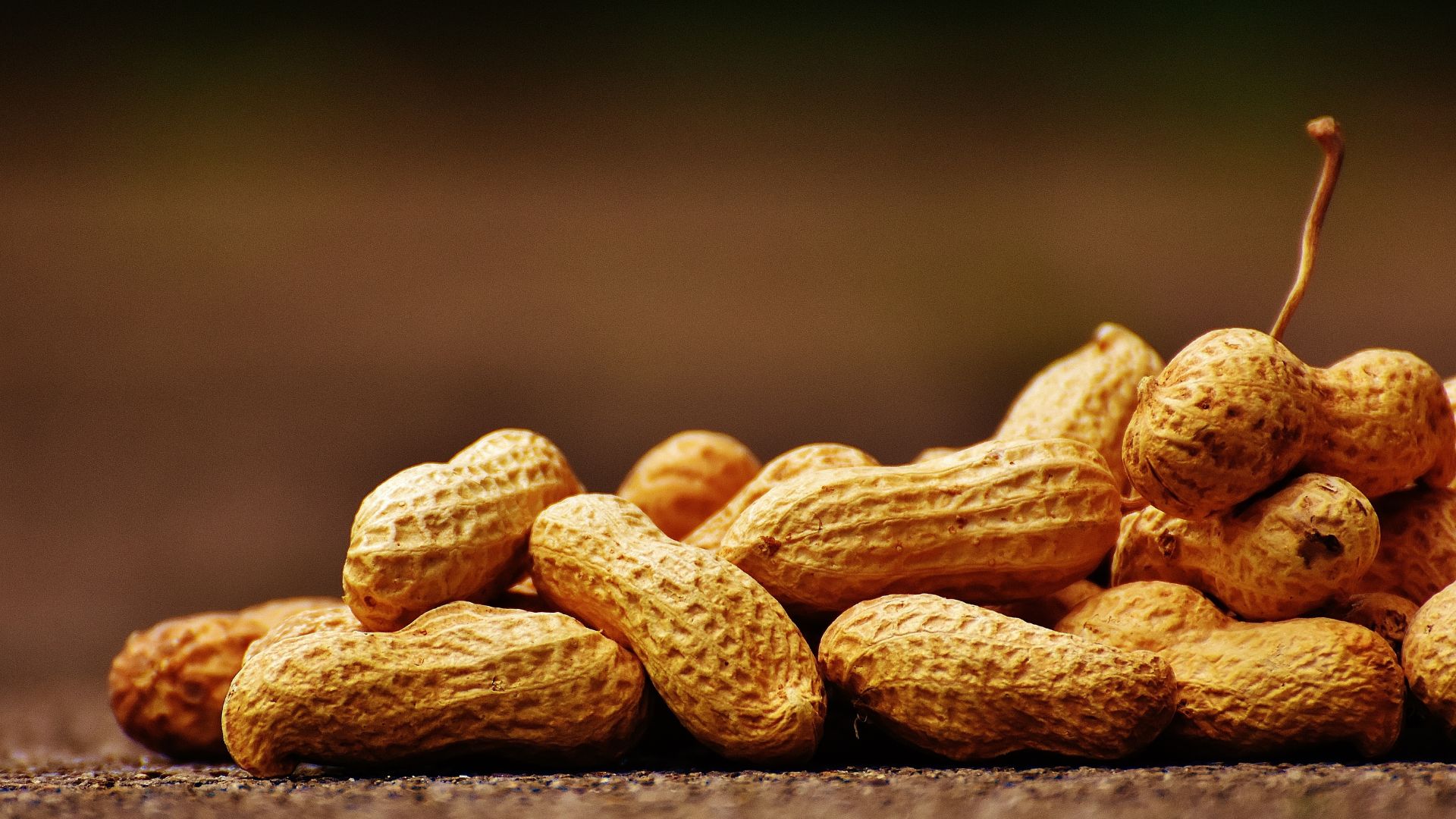 Peanuts (Groundnut)