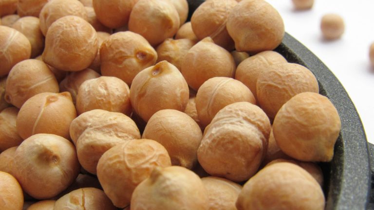 Chickpea